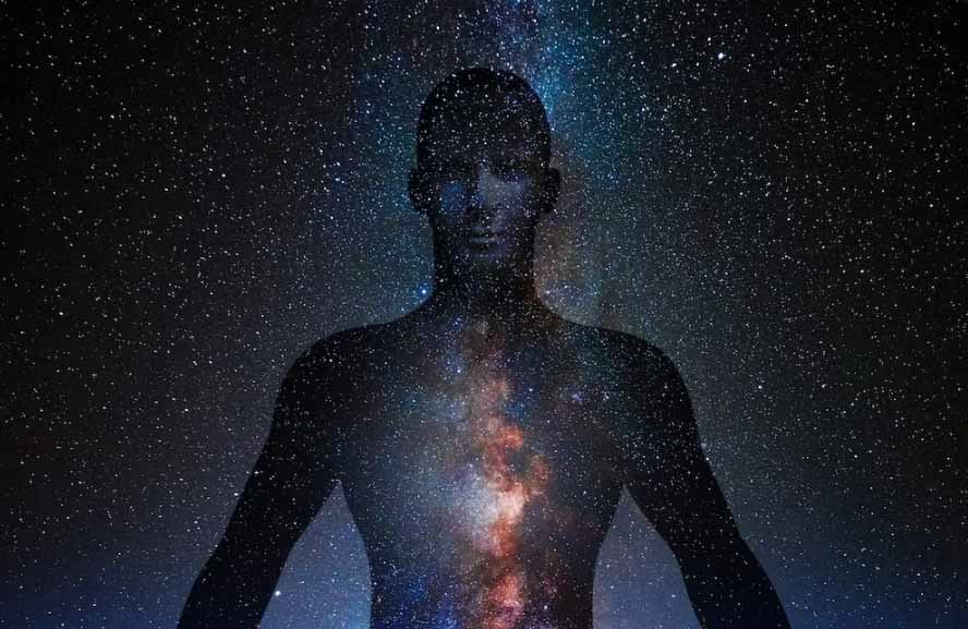 kinesiologia holistica
